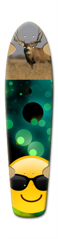 Design 305029