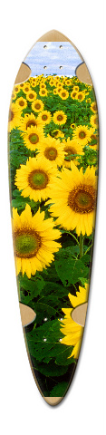 Design 314988 Skateboards, Longboards and Grip Tape Image