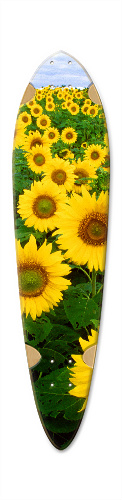 Design 314986 Skateboards, Longboards and Grip Tape Image