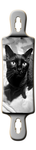 B&amp;amp;W cat Skateboards, Longboards and Grip Tape Image