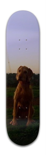 Design 324488 Skateboards, Longboards and Grip Tape Image