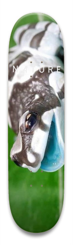 Design 331795 Skateboards, Longboards and Grip Tape Image