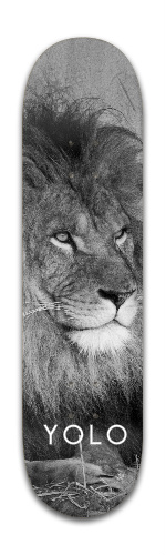 Design 335480 Skateboards, Longboards and Grip Tape