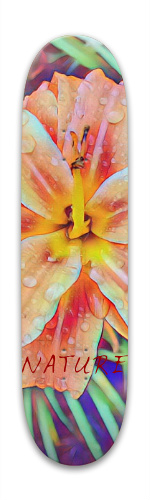 Design 330899 Skateboards, Longboards and Grip Tape