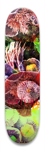 Design 330904 Skateboards, Longboards and Grip Tape
