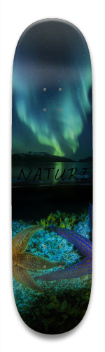 Design 330897 Skateboards, Longboards and Grip Tape