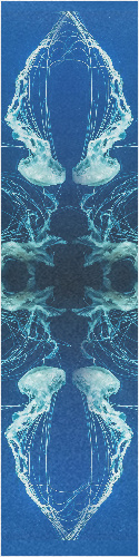 Design 339057 Skateboards, Longboards and Grip Tape