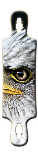 Design 441605 Skateboards, Longboards and Grip Tape