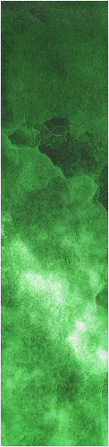 Design 446020 Skateboards, Longboards and Grip Tape
