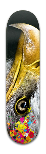 eagle Skateboards, Longboards and Grip Tape Image