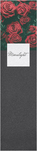Design 411616