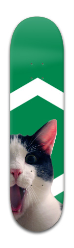 Chat