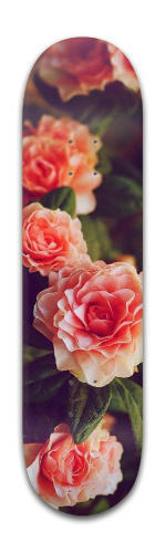Design 430633 Skateboards, Longboards and Grip Tape
