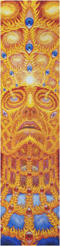 Design 463457 Skateboards, Longboards and Grip Tape