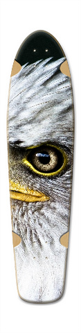 Design 483249 Skateboards, Longboards and Grip Tape