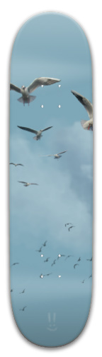 Design 564460