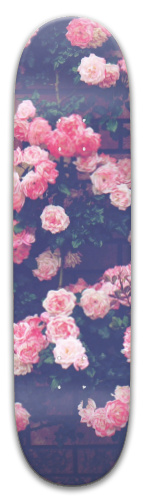 Design 511601