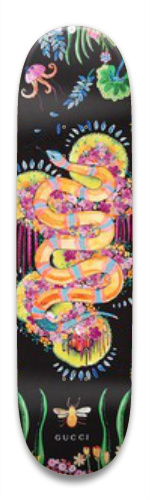 Design 524008 Skateboards, Longboards and Grip Tape Image