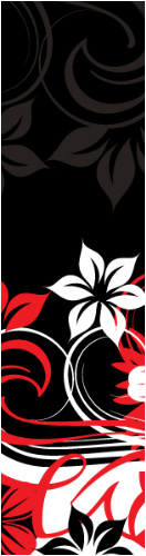 Design 533525 Skateboards, Longboards and Grip Tape Image
