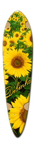 Design 533885 Skateboards, Longboards and Grip Tape