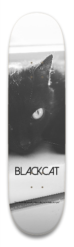 Design 538113 Skateboards, Longboards and Grip Tape Image