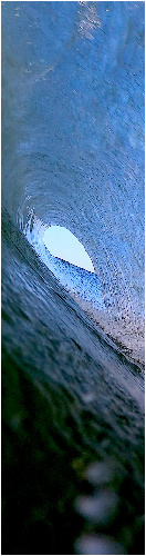 Design 539371 Skateboards, Longboards and Grip Tape Image