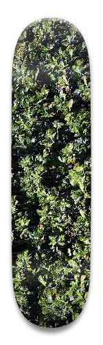 Design 536326 Skateboards, Longboards and Grip Tape Image